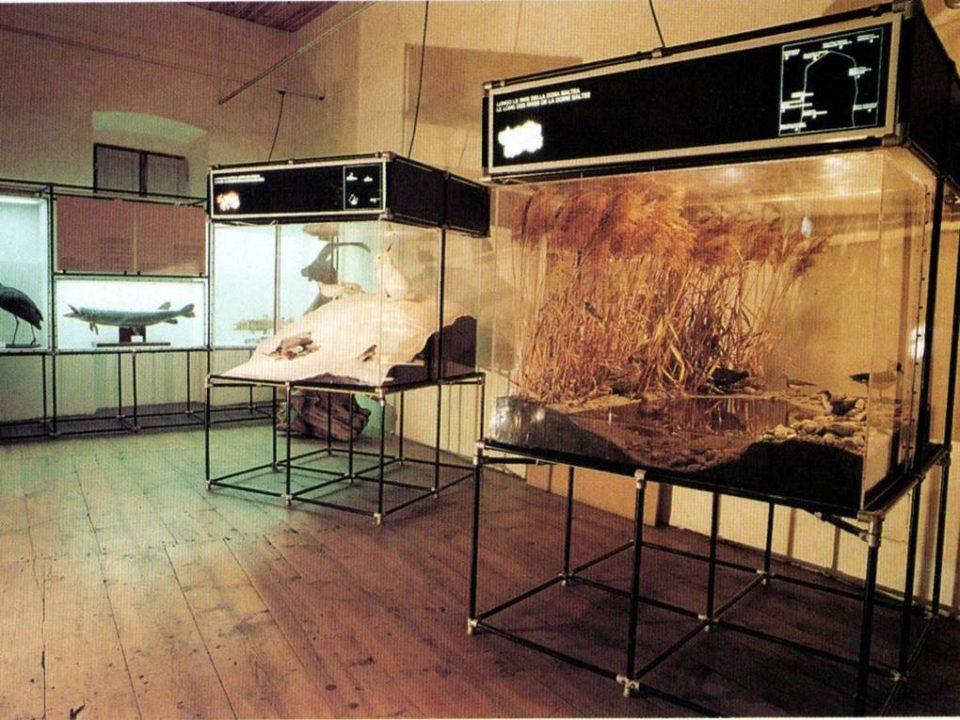 museo nel 1985