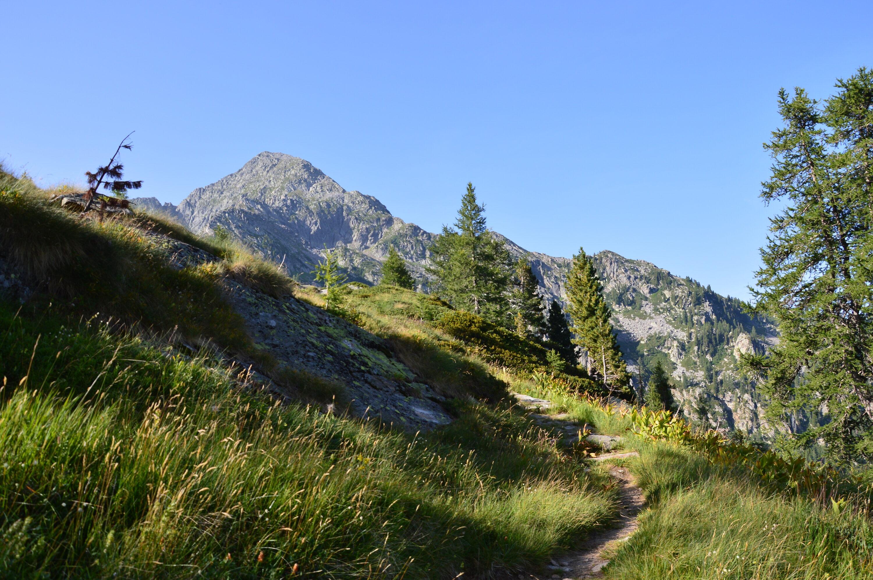 Escursioni in riserva – agosto e settembre
