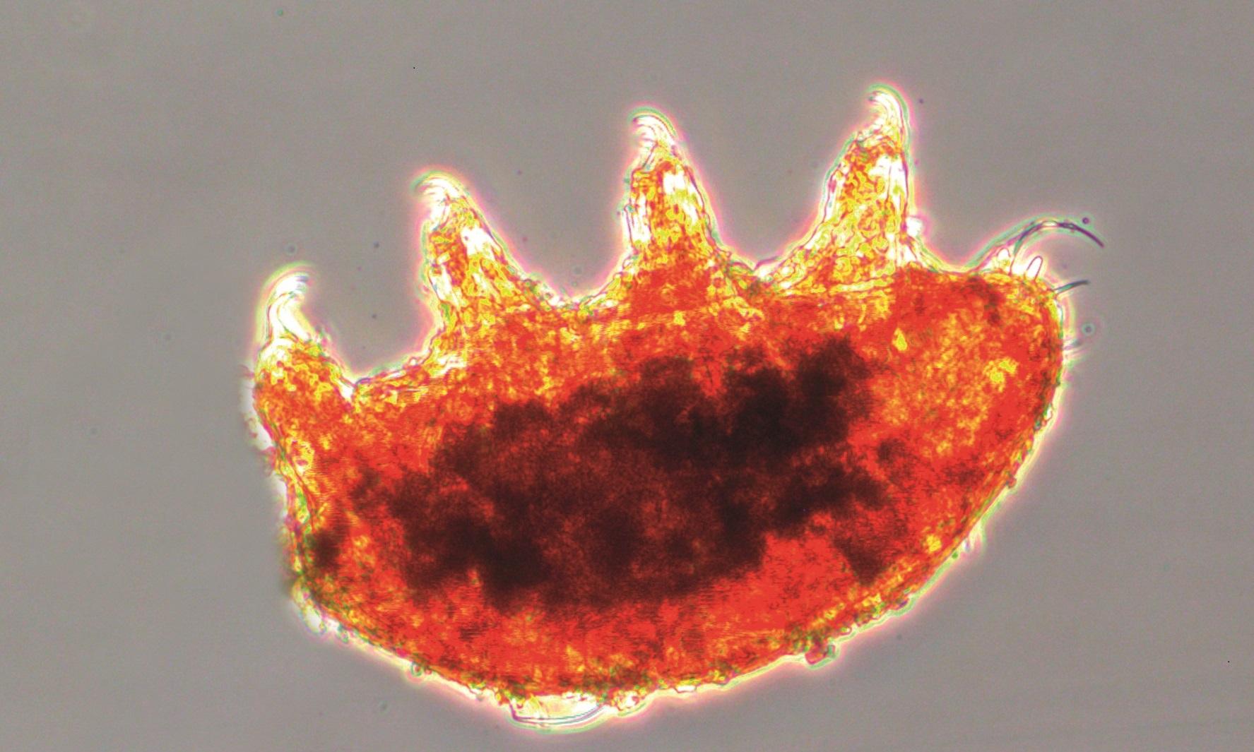 Scienza e arte al museo