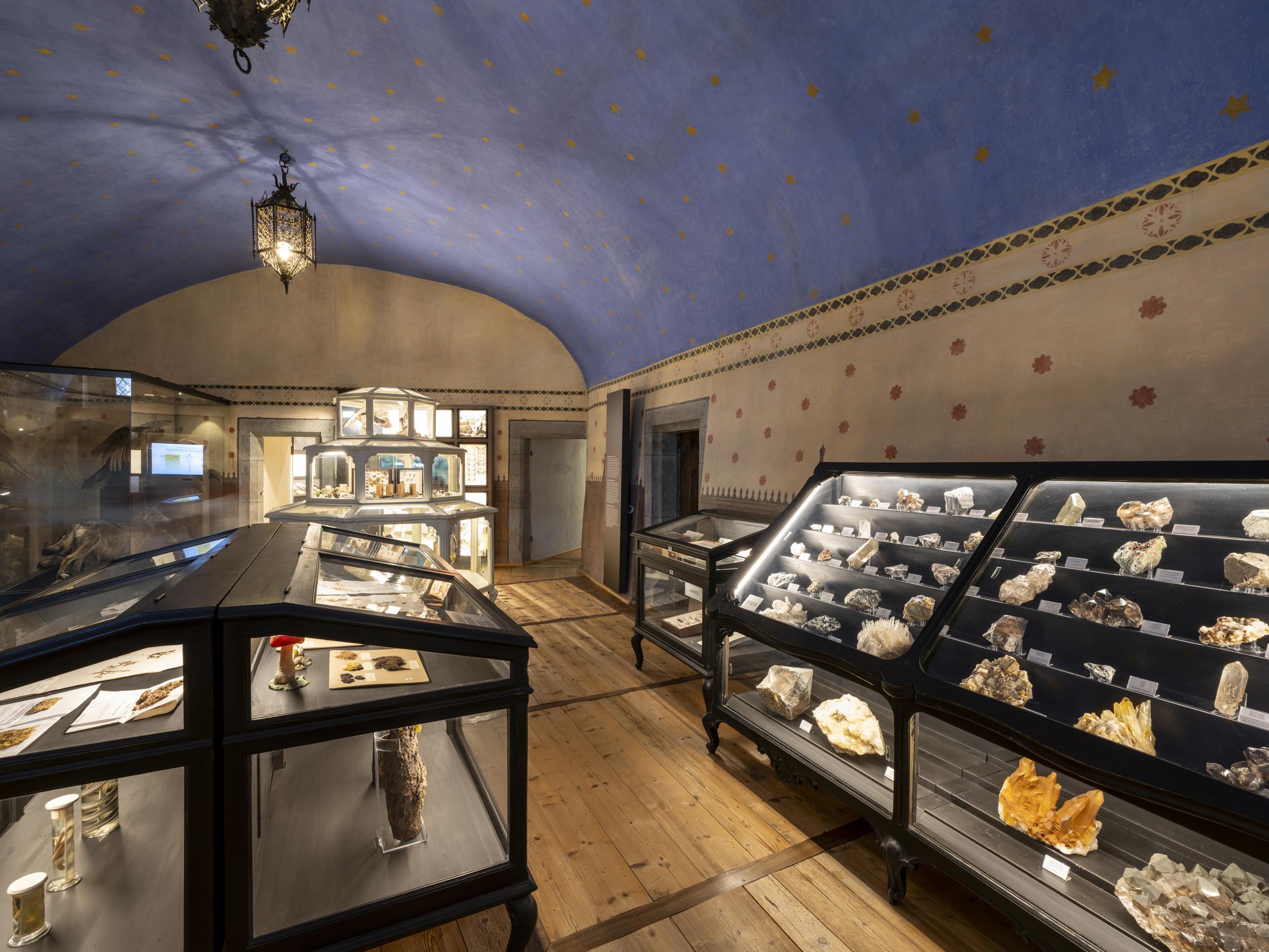 Efisio Noussan e la rinascita del Museo di Scienze naturali di Saint-Pierre