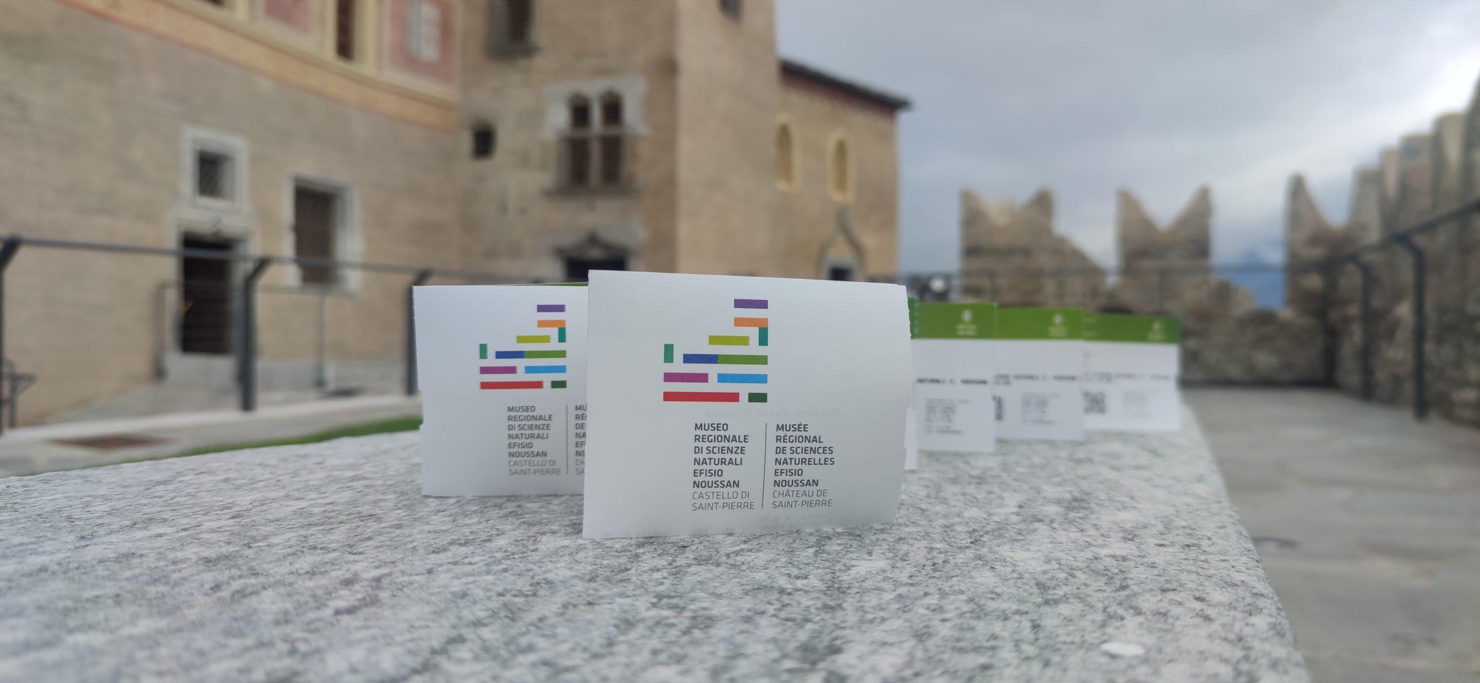 Visitare il Museo di Scienze Naturali di Saint-Pierre