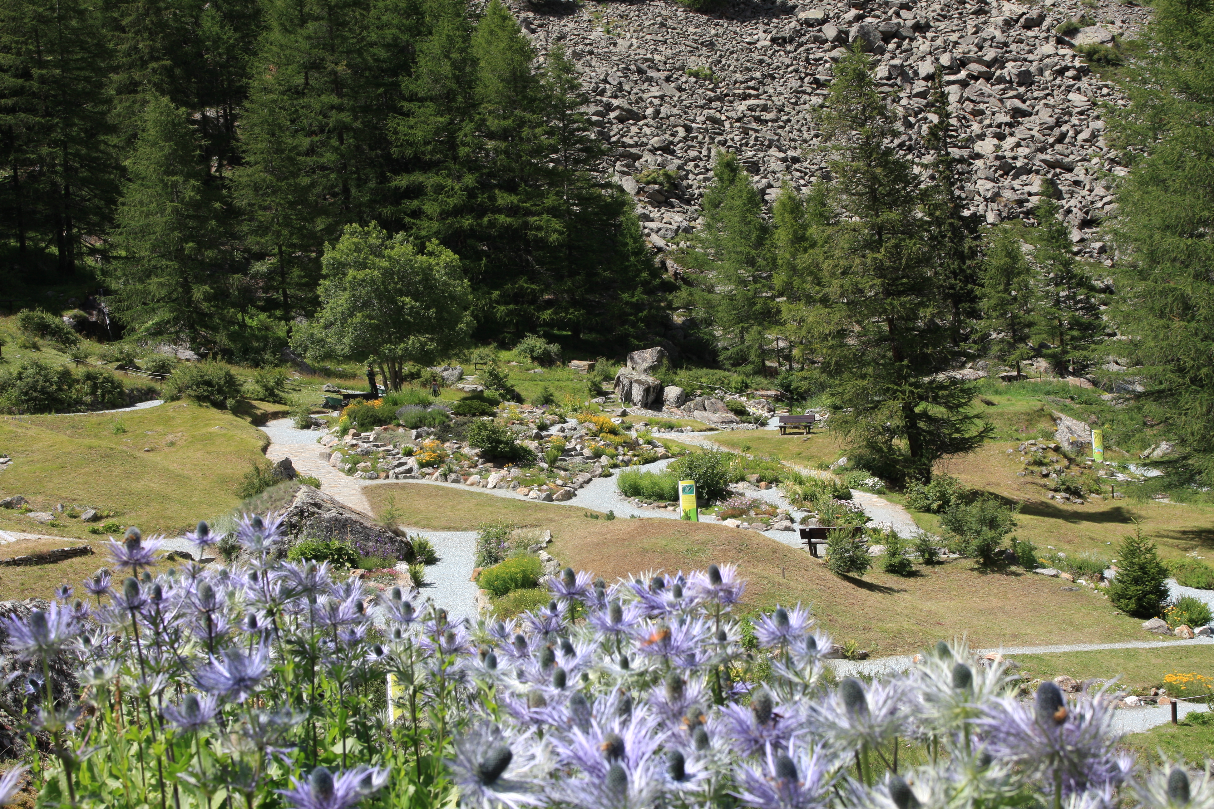 Immagine copertina Immagine giardino Paradisia