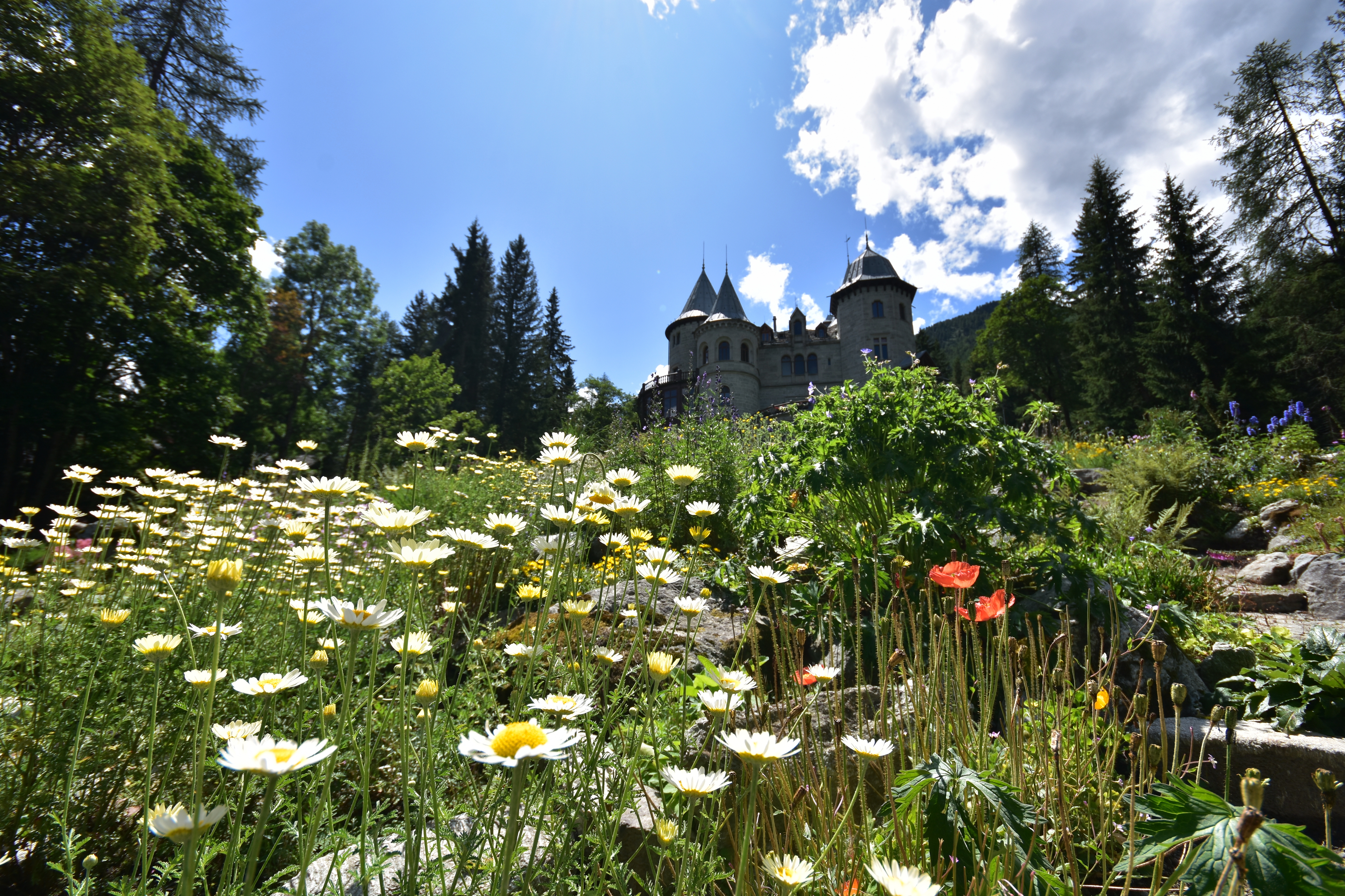 Castel Savoia Alpine Botanical Garden in Gressoney-Saint-Jean