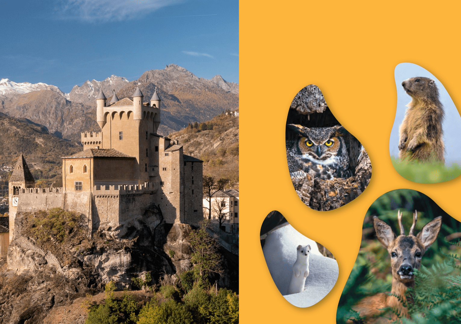 Visita insieme Saint-Pierre e Gressoney