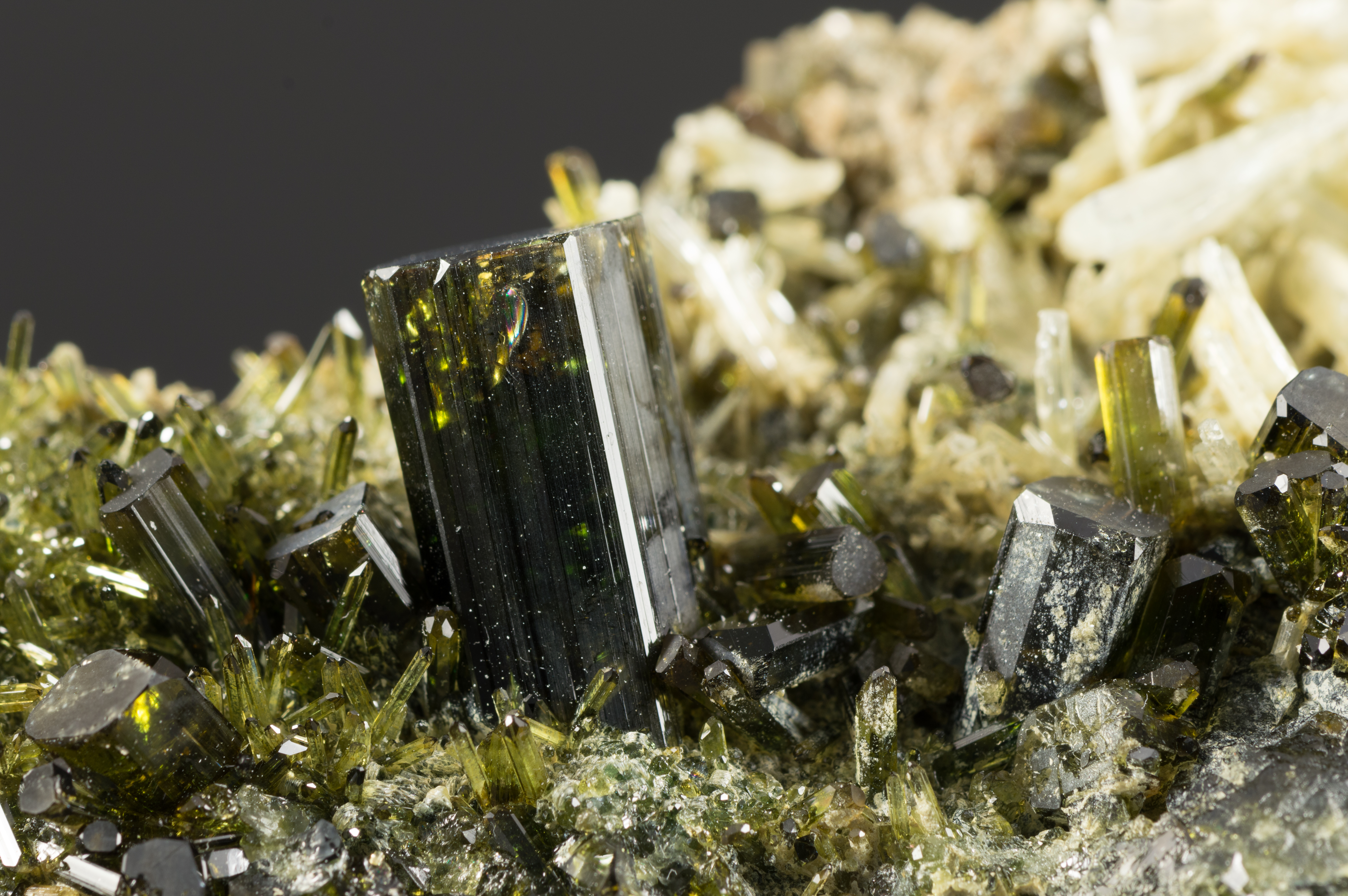 Immagine copertina Minerale