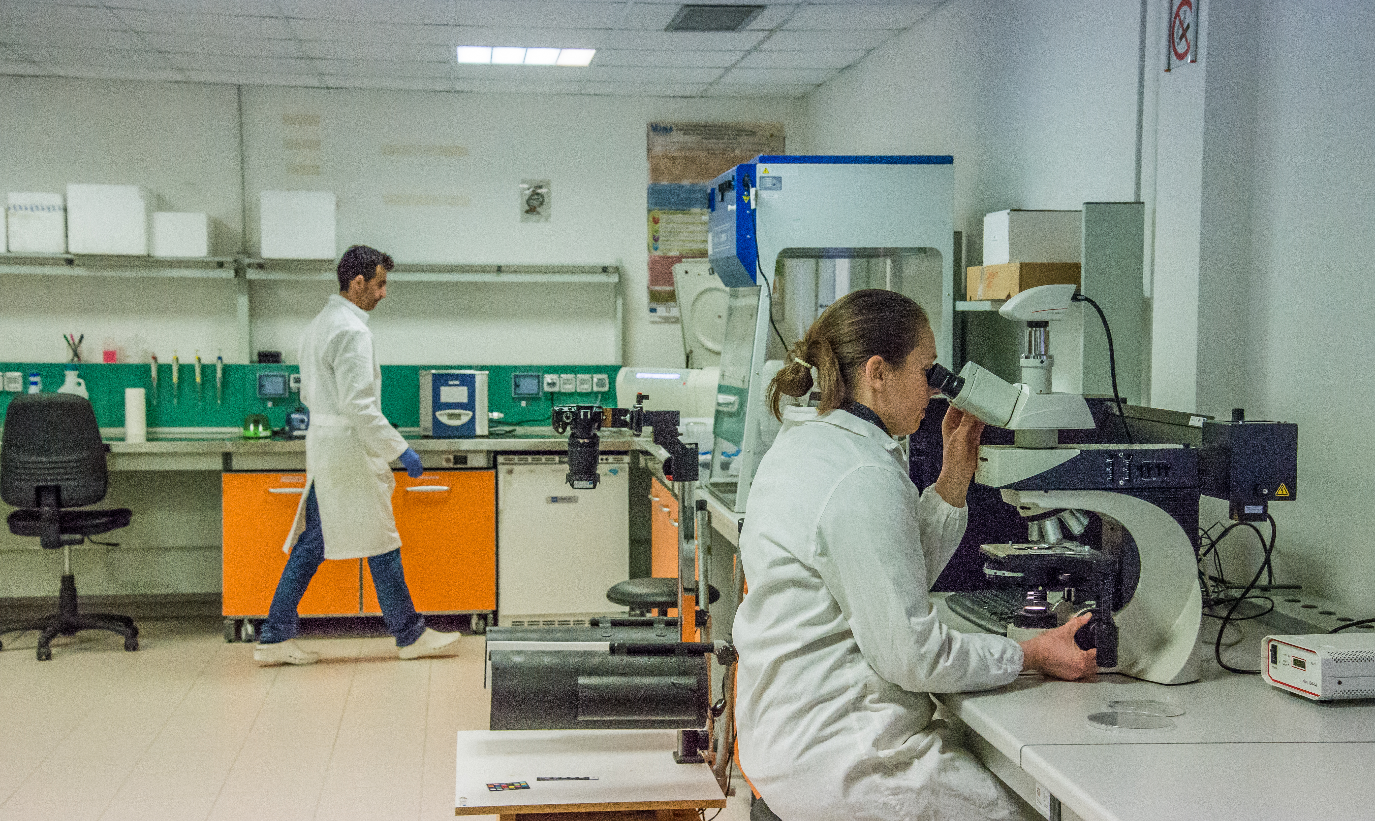 Le attività scientifiche del Museo