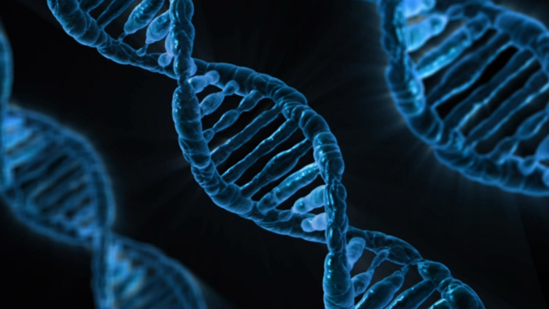 Il laboratorio di biotecnologie del Museo